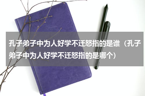 孔子弟子中为人好学不迁怒指的是谁（孔子弟子中为人好学不迁怒指的是哪个）