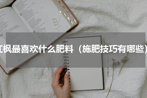 红枫最喜欢什么肥料（施肥技巧有哪些）