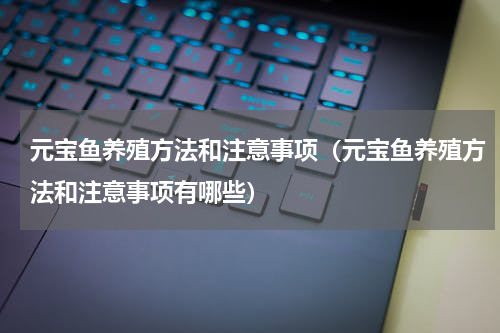 元宝鱼养殖方法和注意事项（元宝鱼养殖方法和注意事项有哪些）