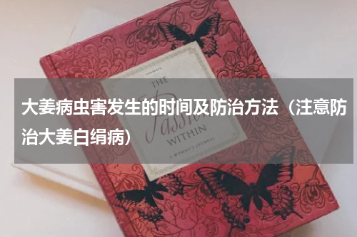 大姜病虫害发生的时间及防治方法（注意防治大姜白绢病）