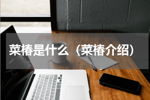 菜椿是什么（菜椿介绍）
