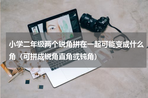 小学二年级两个锐角拼在一起可能变成什么角（可拼成锐角直角或钝角）