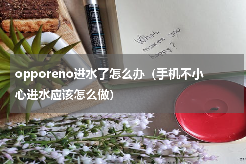 opporeno进水了怎么办（手机不小心进水应该怎么做）