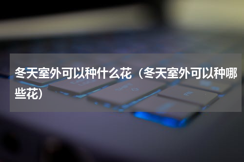 冬天室外可以种什么花（冬天室外可以种哪些花）