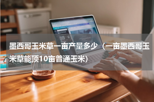 墨西哥玉米草一亩产量多少（一亩墨西哥玉米草能顶10亩普通玉米）
