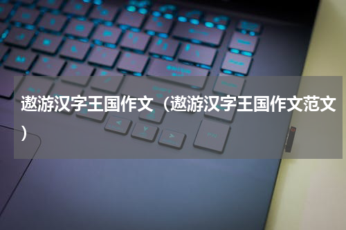 遨游汉字王国作文（遨游汉字王国作文范文）