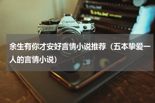 余生有你才安好言情小说推荐（五本挚爱一人的言情小说）