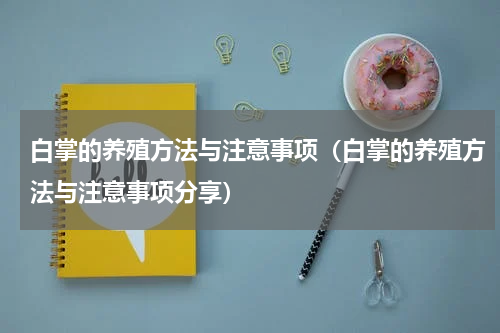 白掌的养殖方法与注意事项（白掌的养殖方法与注意事项分享）