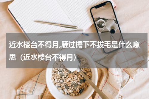 近水楼台不得月,雁过檐下不拔毛是什么意思（近水楼台不得月）