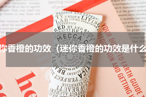 迷你香橙的功效（迷你香橙的功效是什么）