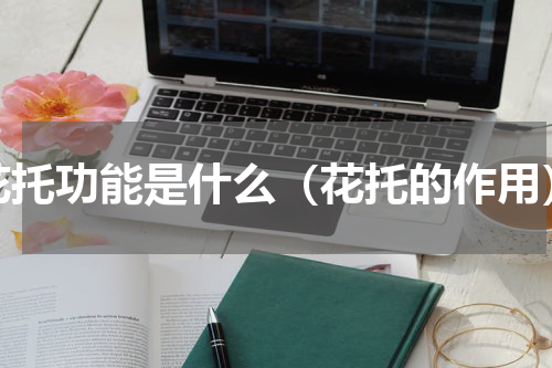 花托功能是什么（花托的作用）