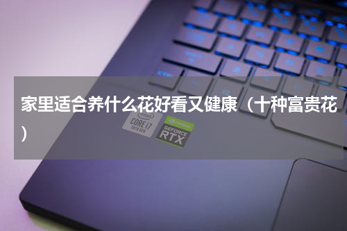 家里适合养什么花好看又健康（十种富贵花）