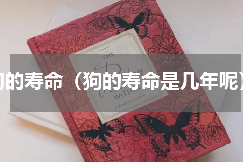 狗的寿命（狗的寿命是几年呢）