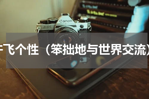 许飞个性（笨拙地与世界交流）