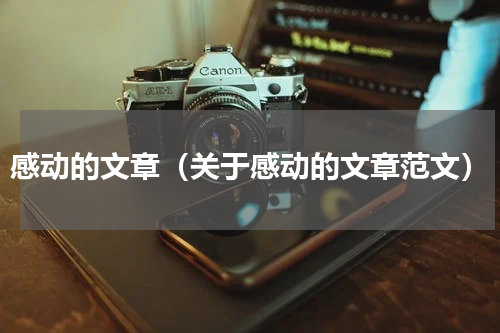 感动的文章（关于感动的文章范文）