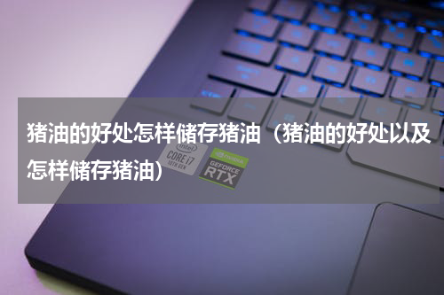 猪油的好处怎样储存猪油（猪油的好处以及怎样储存猪油）