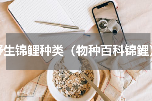 野生锦鲤种类（物种百科锦鲤）