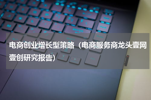 电商创业增长型策略（电商服务商龙头壹网壹创研究报告）