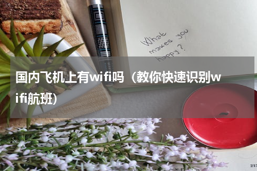 国内飞机上有wifi吗（教你快速识别wifi航班）