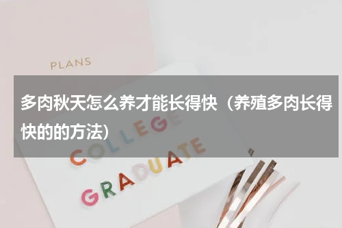 多肉秋天怎么养才能长得快（养殖多肉长得快的的方法）