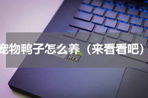 宠物鸭子怎么养（来看看吧）