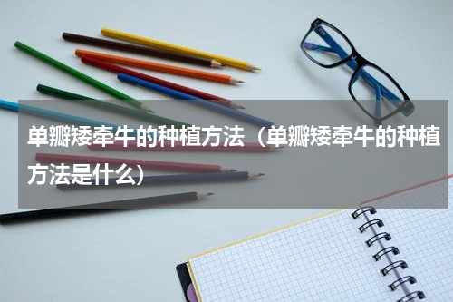 单瓣矮牵牛的种植方法（单瓣矮牵牛的种植方法是什么）
