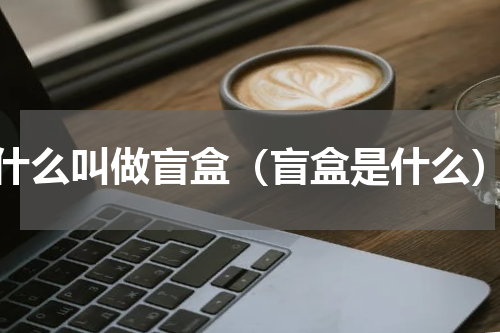 什么叫做盲盒（盲盒是什么）