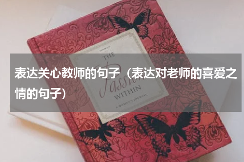 表达关心教师的句子（表达对老师的喜爱之情的句子）