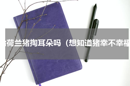 能给荷兰猪掏耳朵吗（想知道猪幸不幸福）