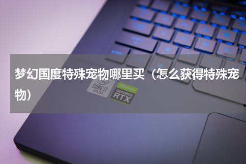 梦幻国度特殊宠物哪里买（怎么获得特殊宠物）