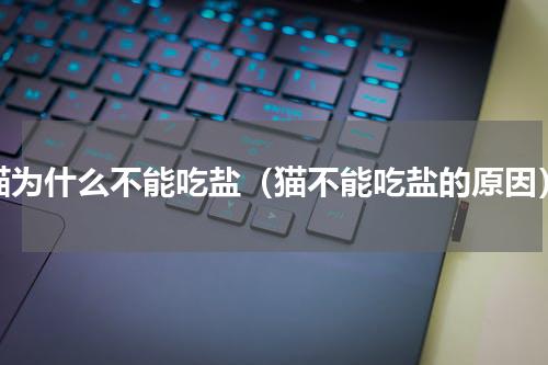 猫为什么不能吃盐（猫不能吃盐的原因）