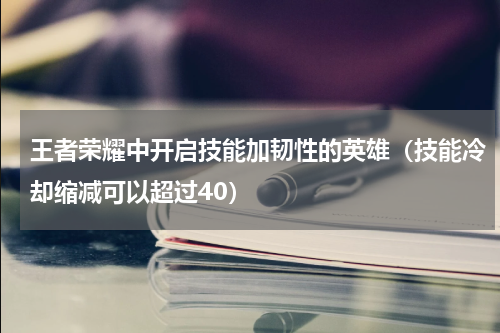 王者荣耀中开启技能加韧性的英雄（技能冷却缩减可以超过40）