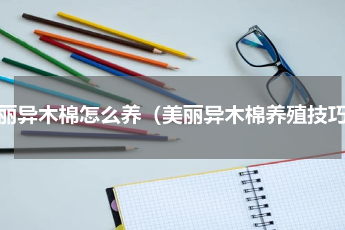 美丽异木棉怎么养（美丽异木棉养殖技巧）