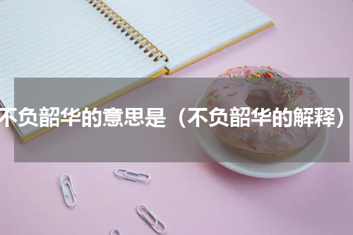 不负韶华的意思是（不负韶华的解释）