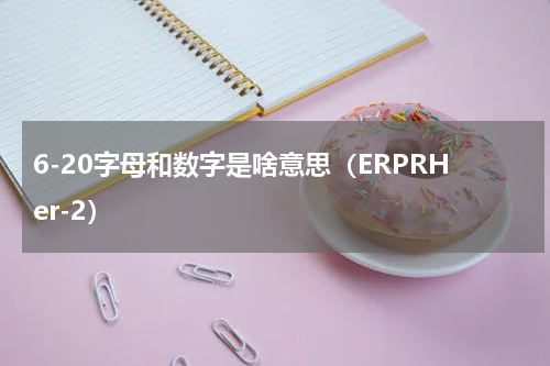 6-20字母和数字是啥意思（ERPRHer-2）