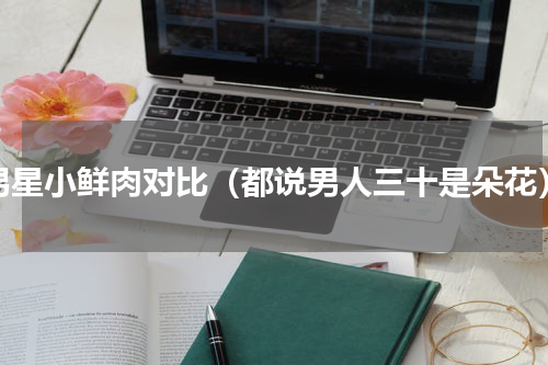 男星小鲜肉对比（都说男人三十是朵花）