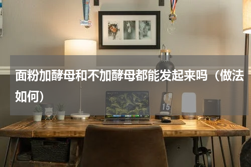 面粉加酵母和不加酵母都能发起来吗（做法如何）