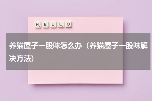 养猫屋子一股味怎么办（养猫屋子一股味解决方法）