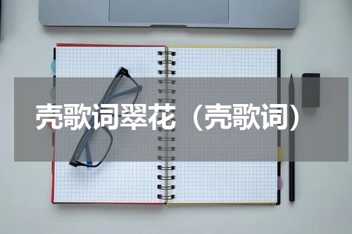 壳歌词翠花（壳歌词）