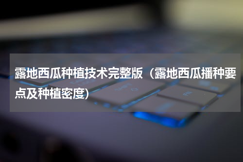 露地西瓜种植技术完整版（露地西瓜播种要点及种植密度）