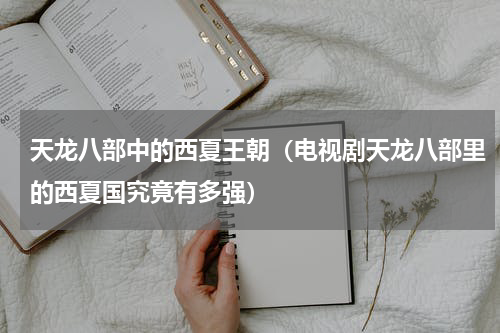 天龙八部中的西夏王朝（电视剧天龙八部里的西夏国究竟有多强）