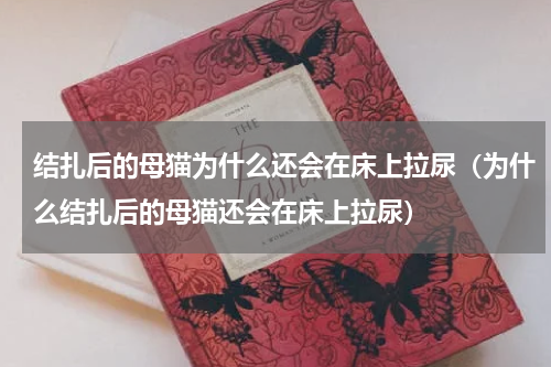 结扎后的母猫为什么还会在床上拉尿（为什么结扎后的母猫还会在床上拉尿）