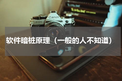 软件暗桩原理（一般的人不知道）