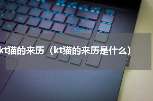 kt猫的来历（kt猫的来历是什么）