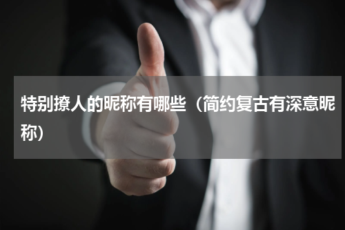 特别撩人的昵称有哪些（简约复古有深意昵称）