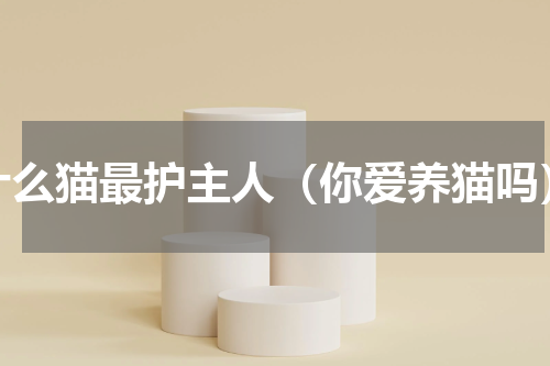 什么猫最护主人（你爱养猫吗）
