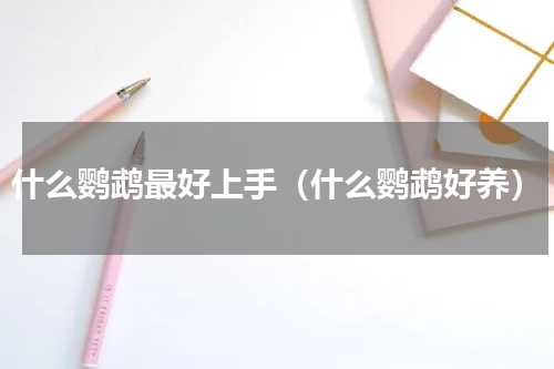什么鹦鹉最好上手（什么鹦鹉好养）