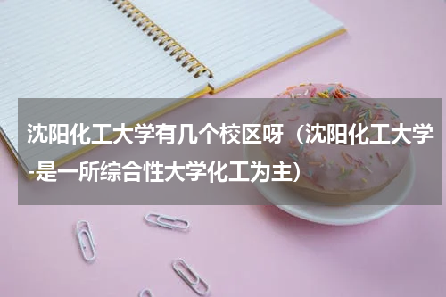 沈阳化工大学有几个校区呀（沈阳化工大学-是一所综合性大学化工为主）