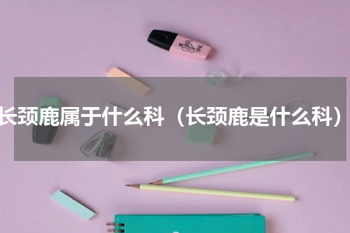 长颈鹿属于什么科（长颈鹿是什么科）