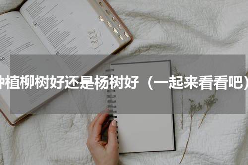 种植柳树好还是杨树好（一起来看看吧）